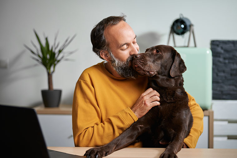 Bild zeigt Mann einem Hund zugewandt am Tisch vor einem Notebook
